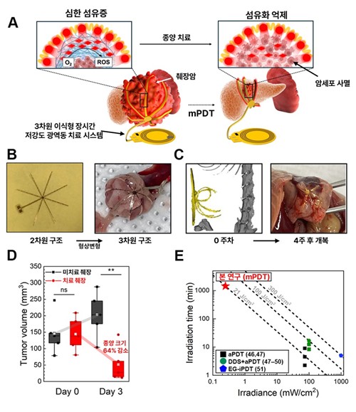 [연구그림] 빛을 이용한 췌장암 치료 개요