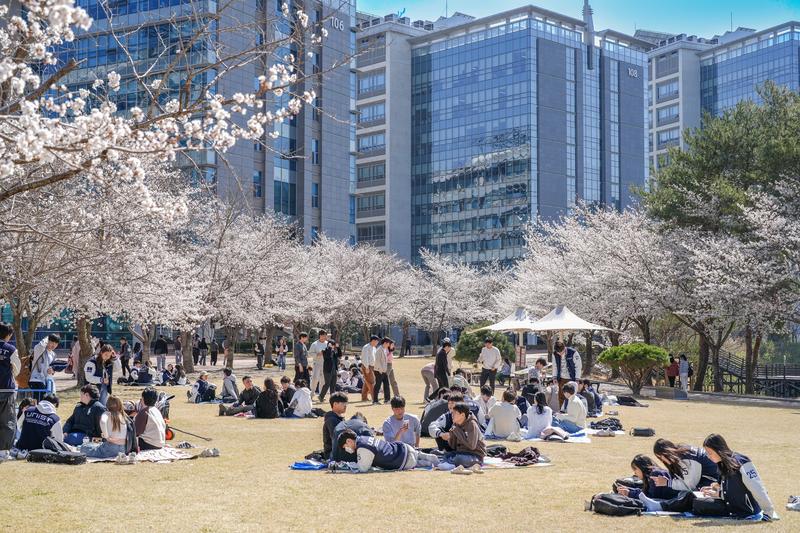 ‘UNI-Blossom Week’, UNIST 소통문화  만개