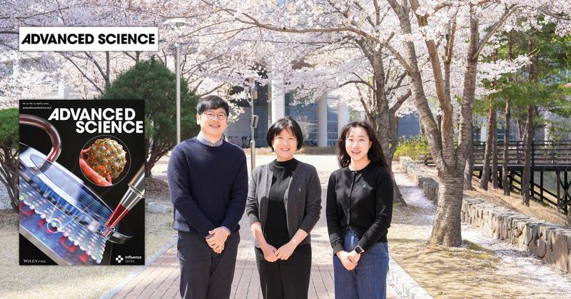 혈관과 소통하는 암, 실시간으로 분석한다!... 상호작용 모사 칩 개발