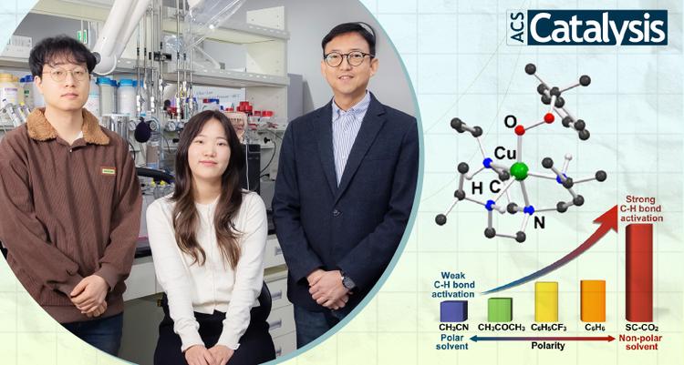 Unlocking the Impact of Solvents on Catalytic C–H Bond Oxidation by Copper(II)–Alkylperoxo Complex